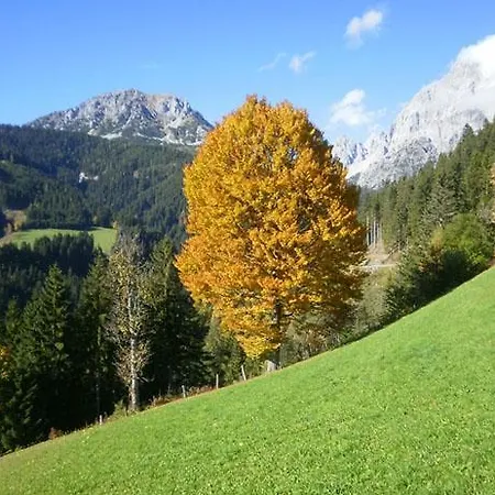 Fruehstueckspension Roetelstein Guest house 3*